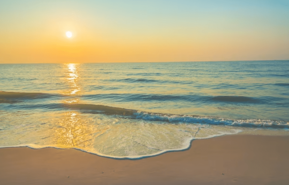 Capri New Style of Gallipoli
