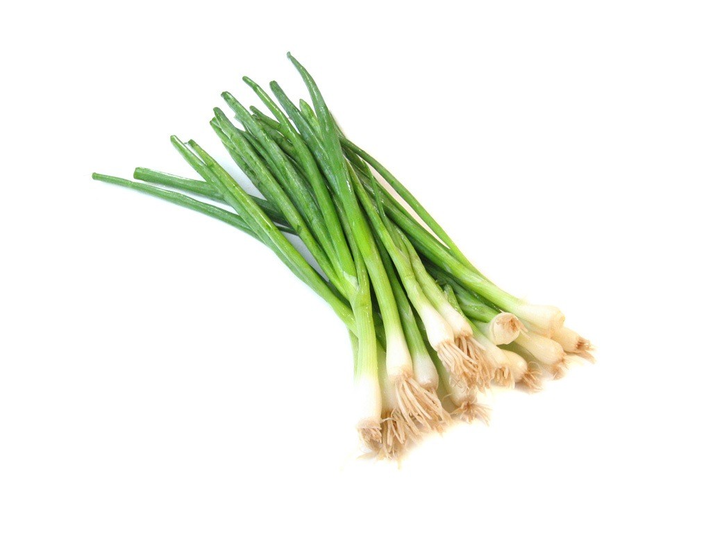 Shallot: Characteristics
