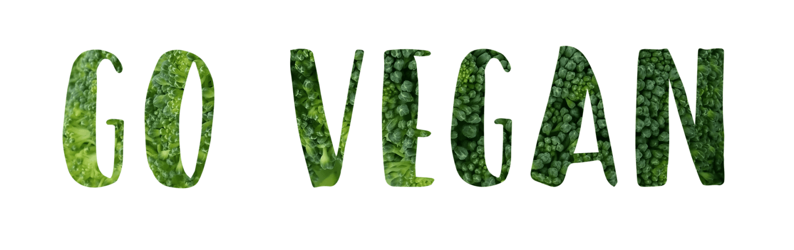 Vegan Restaurant: A New Trend